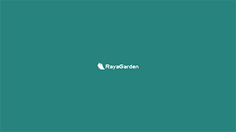 Peperomia Ferreyrae (Happy Bean Plant) Profile